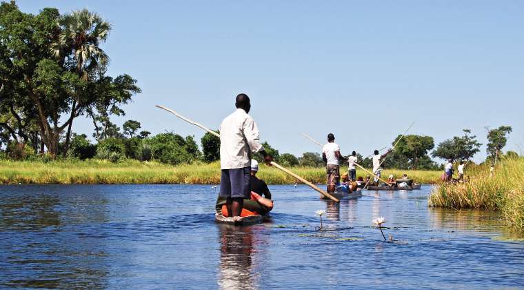 Canoe Safaris