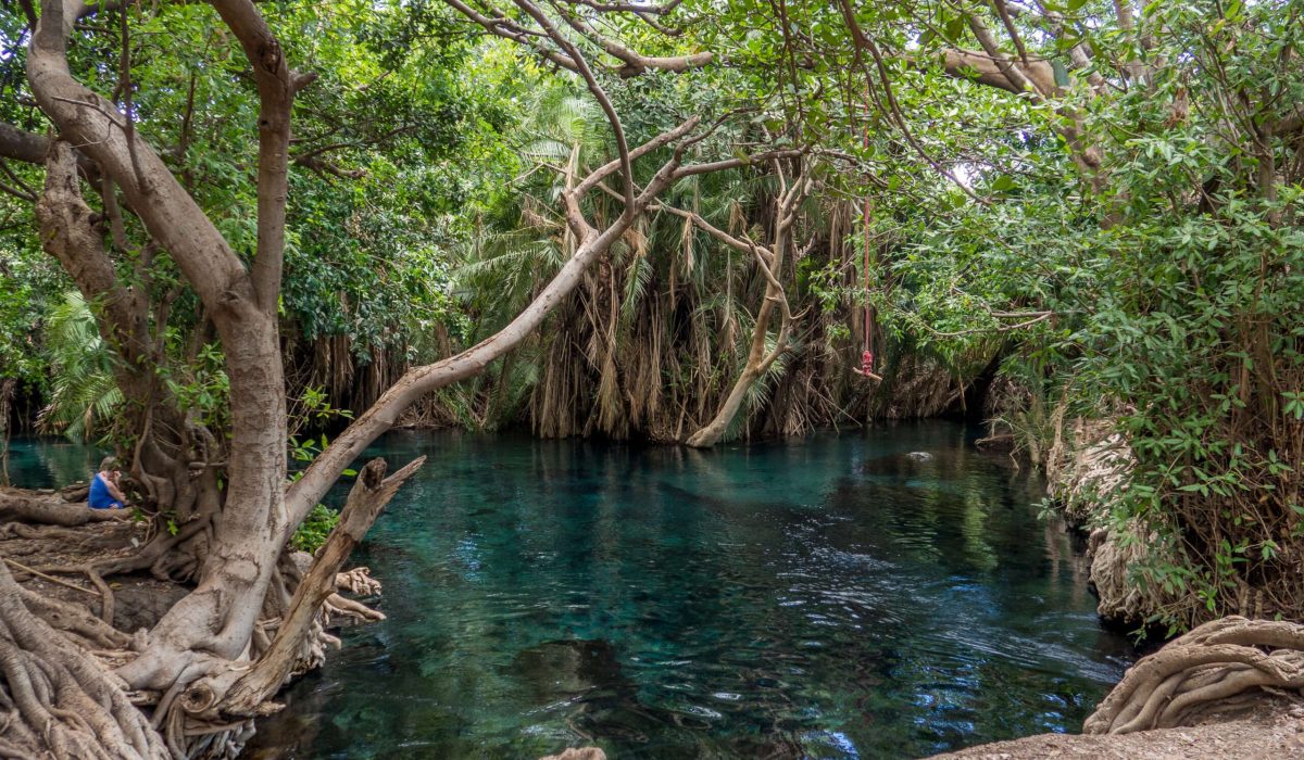Clear hot springs near Moshi and Arusha