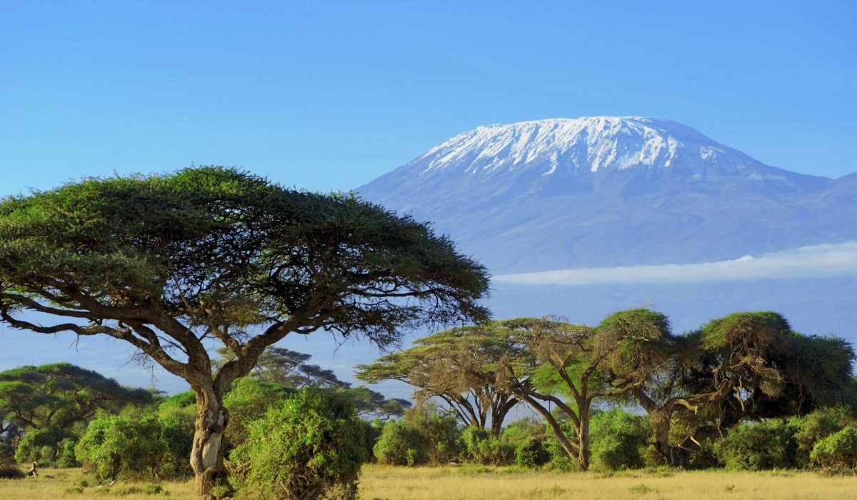 Snow,On,Top,Of,Mount,Kilimanjaro,In,Amboseli